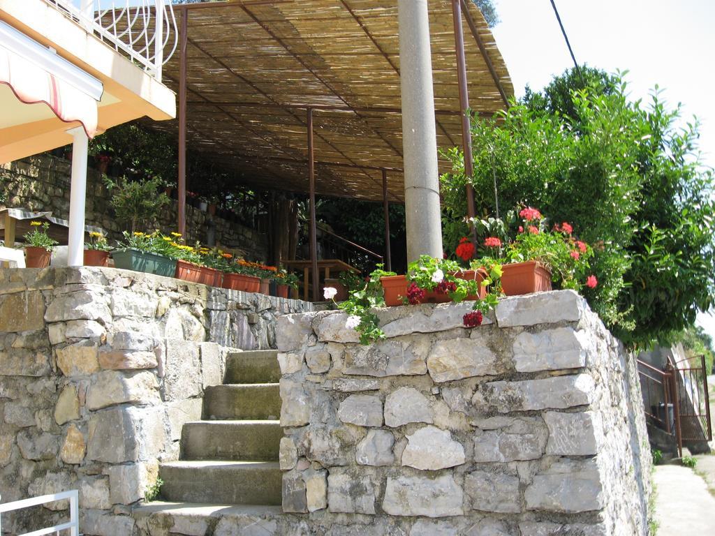 Apartments Olga Tivat Bagian luar foto